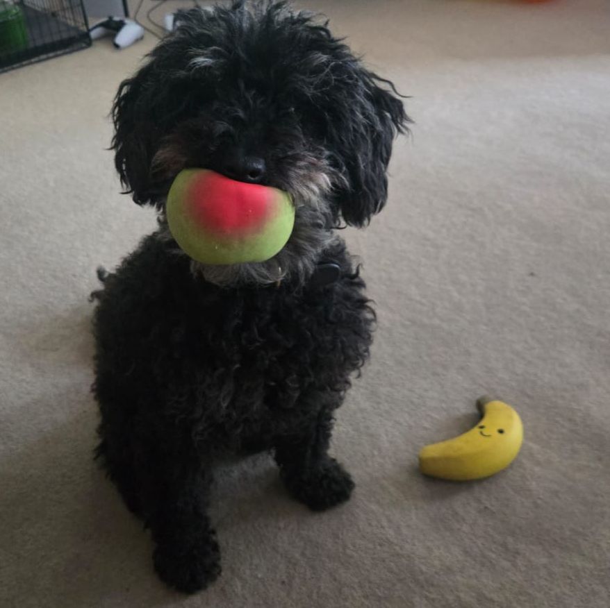 Mr Apple