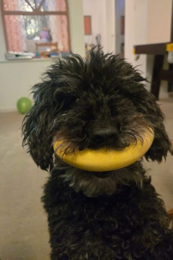 Mr Banana